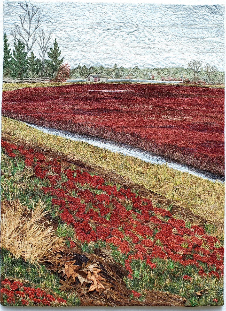 Cape Cod Quilts Sue Colozzi Fiber Art